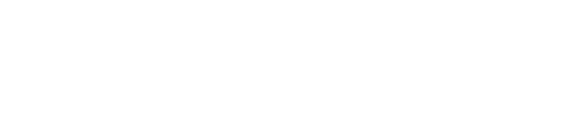 Logo inicio Longevidad Saludable